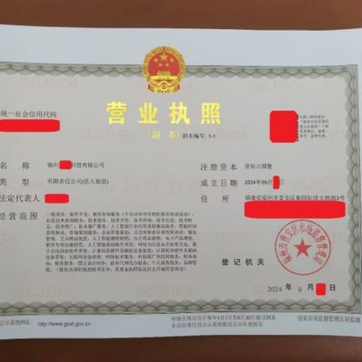 福州內(nèi)資公司注冊