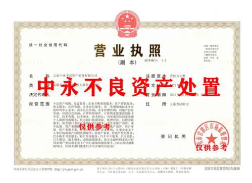 不良資產(chǎn)處置公司可以經(jīng)營哪些項(xiàng)目