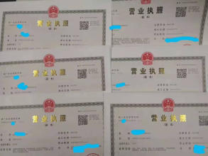 公司注冊全方位服務 個體、財務代理與內資公司注冊指南